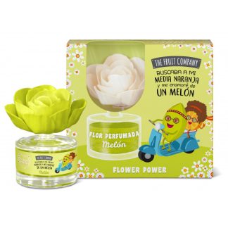 FRUIT COMPANY FLOWER MELON 50ML