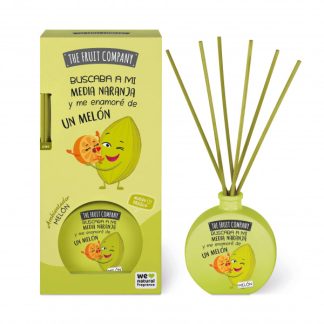 Fruit Company Mikado Melon 40ml 
