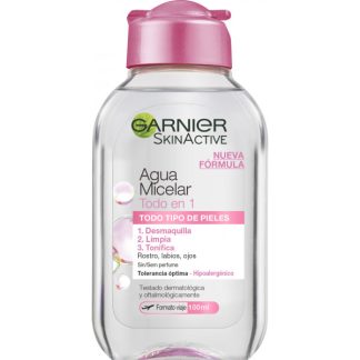 GARNIER AGUA MICELAR TODOEN1 100ML