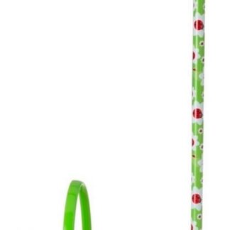 VIgar Kids Set Cubo + Fregona Modelo Lady Bug